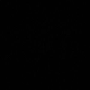 Meet your Posher, Jade